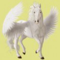 /album/kepeim/a100034268-miniature-1-jpg/